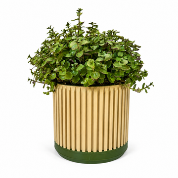 Vaso con Drenaggio Integrato – Design Moderno 3D