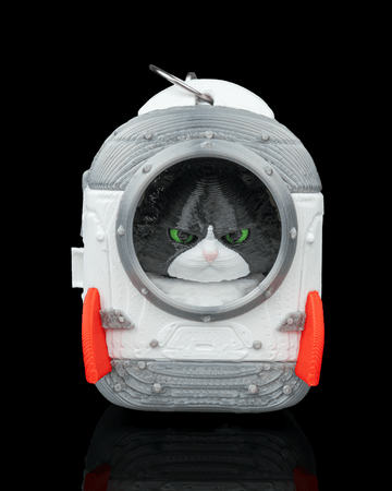 Portachiavi zainetto con gatto maine coon stampato in 3D
